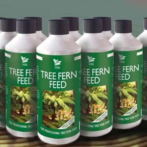 THOMPSON & MORGAN Thompson&morgan - Tree Fern Plant Feed 500ml x 1 Unit THOMPSON & MORGAN Thompson&morgan - Tree Fern Plant Feed 500ml x 1 Unit