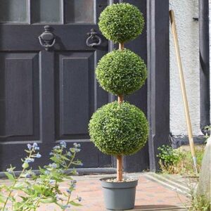 MARCO PAUL Trio Topiary Tree 120cm MARCO PAUL Trio Topiary Tree 120cm