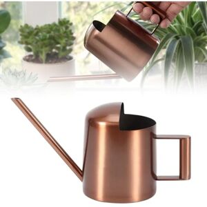Tinor - Watering Can for Indoor Plants 300ml - Mini Watering Can: Stainless Steel Watering Can with Long Metal Neck - Small Garden Watering Can for Tinor - Watering Can for Indoor Plants 300ml - Mini Watering Can: Stainless Steel Watering Can with Long Metal Neck - Small Garden Watering Can for
