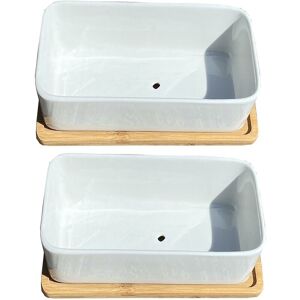 SELECTIONS White Succulent and Cactus Trough Plant Pots (Set of 2) SELECTIONS White Succulent and Cactus Trough Plant Pots (Set of 2)