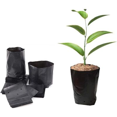 WOIYIC 100pcs Thickened Plastic Nursery Bags for Plants, Seedling Planting Bags for Fruits and Flowers, Garden Plant Growing Bags with Breathable Holes WOIYIC 100pcs Thickened Plastic Nursery Bags for Plants, Seedling Planting Bags for Fruits and Flowers, Garden Plant Growing Bags with Breathable Holes