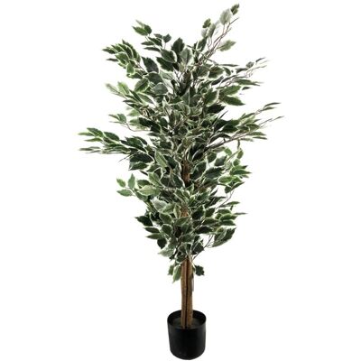 Brand 130cm Tall Variegated White and Green Bushy Ficus Tree - Artificial Tree Brand 130cm Tall Variegated White and Green Bushy Ficus Tree - Artificial Tree