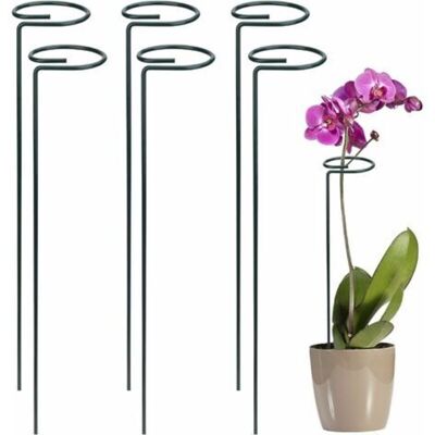 BASETBL 60 Pieces Plant Support Rings 40cm Metal Plant Ring Garden Support Ring for Plants Flowers Vegetables BASETBL 60 Pieces Plant Support Rings 40cm Metal Plant Ring Garden Support Ring for Plants Flowers Vegetables