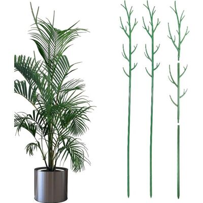Ccykxa - Set of 3 Green Plant Support Stakes for Climbing Plants and Flowers Help Your Plants Grow, Height 100cm, Garden Tomato Stakes, Hydrangea Ccykxa - Set of 3 Green Plant Support Stakes for Climbing Plants and Flowers Help Your Plants Grow, Height 100cm, Garden Tomato Stakes, Hydrangea