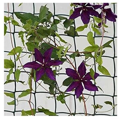 Marco Paul - Climbing Plant & Fencing Garden Mesh Outdoor Indoor Fencing Plant Support Plastic Mesh Netting for Flowers Plants Protection Allotment Marco Paul - Climbing Plant & Fencing Garden Mesh Outdoor Indoor Fencing Plant Support Plastic Mesh Netting for Flowers Plants Protection Allotment