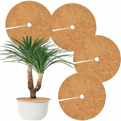 Orchidée - Orchid-Plant Coconut Mat,4 Pieces Coconut Mat Plant Protection Disc Winter Protection for Home Hotel Garden(40cm) Orchidée - Orchid-Plant Coconut Mat,4 Pieces Coconut Mat Plant Protection Disc Winter Protection for Home Hotel Garden(40cm)