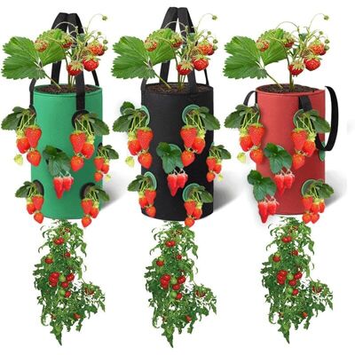 SNQ - 12-pocket - Non-woven - 20x35 cm - Hanging planter bags SNQ - 12-pocket - Non-woven - 20x35 cm - Hanging planter bags