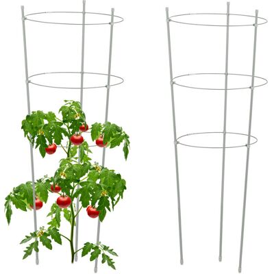 RELAXDAYS Brand Circular Plant Supports - 76cm Tall, 3 Rings, Metal RELAXDAYS Brand Circular Plant Supports - 76cm Tall, 3 Rings, Metal