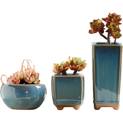 TORMATOR Set of 3 glazed ceramic flower pots, cactus pots, mini bonsai pots, for home or office decoration (plants not included) TORMATOR Set of 3 glazed ceramic flower pots, cactus pots, mini bonsai pots, for home or office decoration (plants not included)