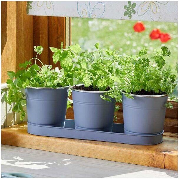 GARDEN MILE 3x Slate Herb Plant Pots with Drip Tray for Home Kitchen Planters Traditional Indoor Window Sill Planter Box Grow Your Own Herbs