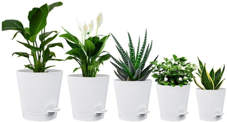 TLILY 5 Pack Inch Self Watering Pots for Indoor Plants, Flower Planter with Drainage Holes and Wick Rope White