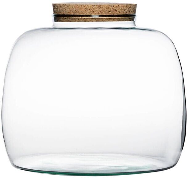 Ivyline - Bowl Shape Large Terrarium diy Kit - Glass - L30 x W30 x H23 cm - Clear