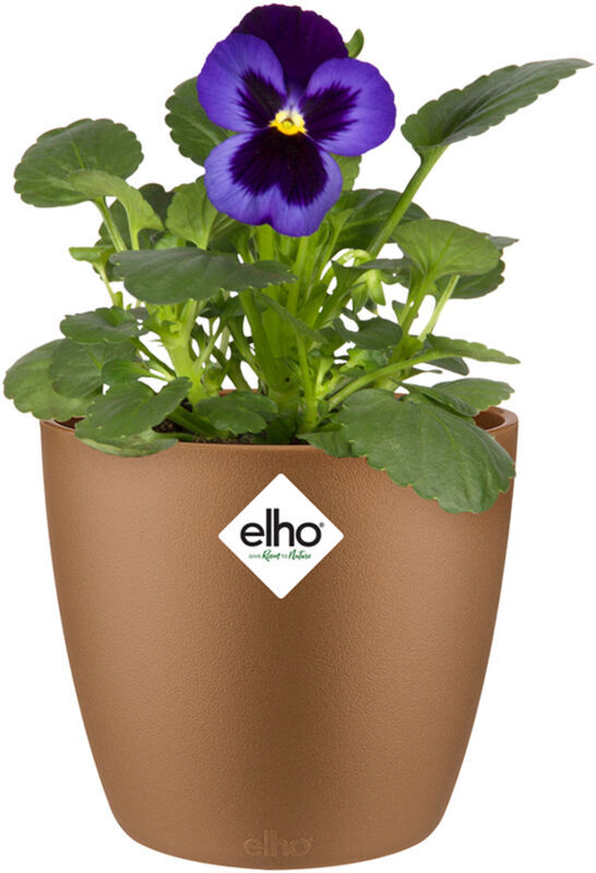 Elho - Flower Pot Brussels Round Planter Plant Window Box Indoor Outdoor Plastic samtgold/0,8 Liter (de)
