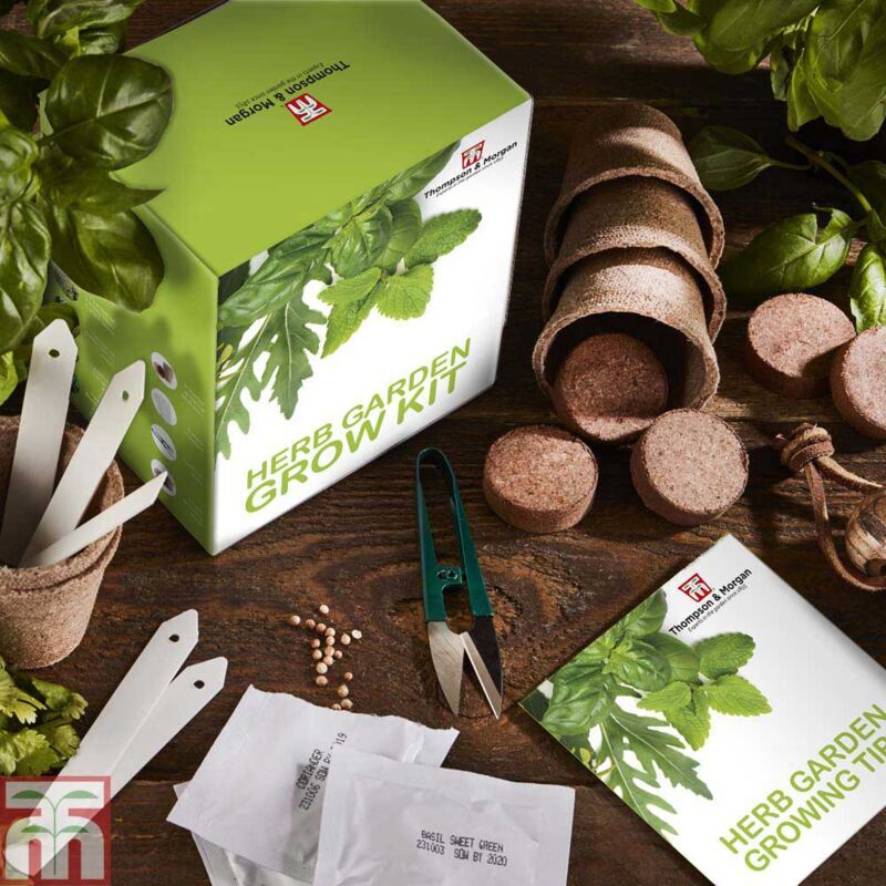 THOMPSON & MORGAN Seed Grow Kit Herb Garden