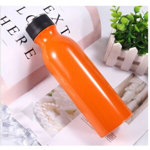 Insulated Water Bottle , Stainless Steel Double Wall Water Bottle Keep Hot & Cold, Insulated, BPA Free, Leakproof 560ml Orange-DENUOTOP