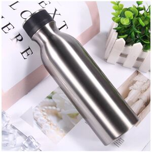 Insulated Water Bottle , Stainless Steel Double Wall Water Bottle Keep Hot & Cold, Insulated, bpa Free, Leakproof 560ml silver Denuotop