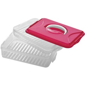 Premier Housewares - Food Container Leakproof Hot Pink Lid With Folding Handle Food Storage Box With Dual Compartments For Snacks And Lunch Ideal For