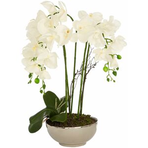 Premier Housewares - White Orchid Plant Natural Ceramic Pot