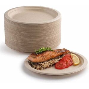 COOCHEER Pack of 100 extra strong paper plates, 100% biodegradable and compostable, environmentally friendly, extremely durable, recyclable, perfect for COOCHEER Pack of 100 extra strong paper plates, 100% biodegradable and compostable, environmentally friendly, extremely durable, recyclable, perfect for
