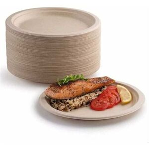 COOCHEER Pack of 100 super-strong paper plates, 100% biodegradable and compostable, environmentally friendly, highly durable, recyclable, perfect for picnics COOCHEER Pack of 100 super-strong paper plates, 100% biodegradable and compostable, environmentally friendly, highly durable, recyclable, perfect for picnics