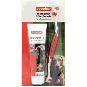 Beaphar - Dental Kit Dog and Cat 100g - 24482