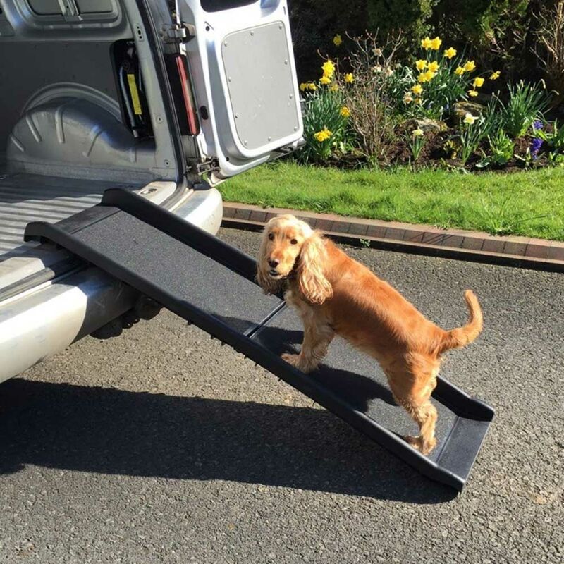 Raygar - Pet Ramp Foldable & Lightweight