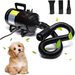 Day Plus - 2800W Dog Hair Dryer Blaster Pet Grooming Hair Dryer High Velocity Motorbike Dryer Low Noise with 3 Nozzles 2.5M Hose Stepless Speed Gear