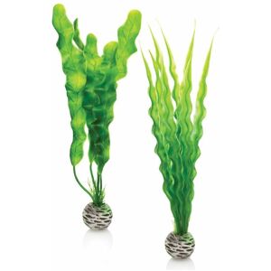 Easy Plant, Medium, Pack of 2, Green - Biorb