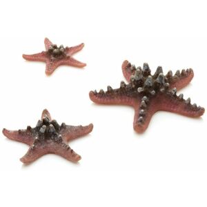 Ornament Natural Sea Star Set, Pink - Biorb