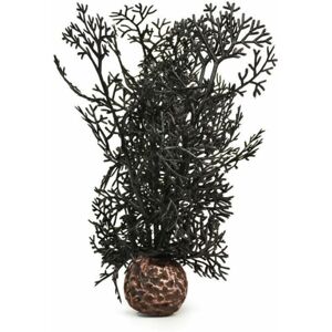 Sea Fan Small, Black - Biorb