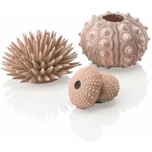 biOrb Sea urchins Set, Natural