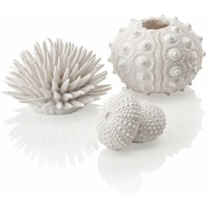 Biorb - Sea Urchins Set, White