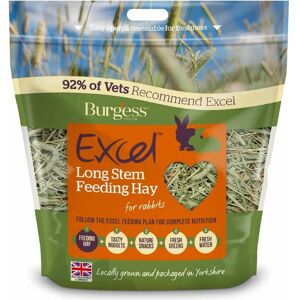 Burgess - Excel Long Stem Feeding Hay - 1kg - 308462