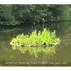 Buttercup Farm Grd - Buttercup Waterfowl Island - 5 Module - L1000 x W100 cm