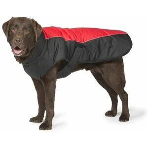 Danish Design - Red Sports Luxe Dog Coat 30cm - 262295