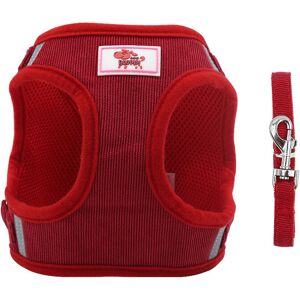 LANGRAY Dog Harness and Leash Set Reflective Leash Pet Chest Vest for Puppy Walk Outdoor (red, Size l)