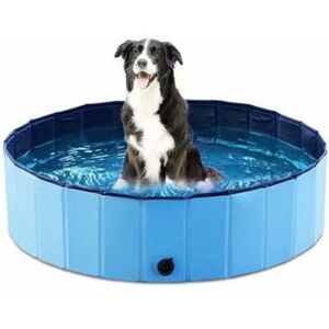 Langray - Eco-Friendly pvc Collapsible Swimming Pool Pet Bathtub Dog Pool Cats, 20X80cm - blue - bleu