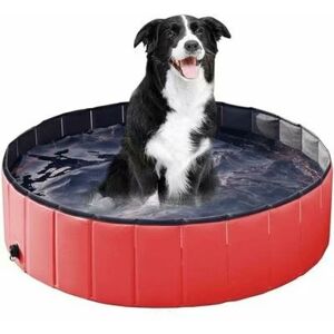 Langray - Eco-Friendly pvc Collapsible Swimming Pool Pet Bathtub Dog Pool Cats, 20X80cm - red - rouge