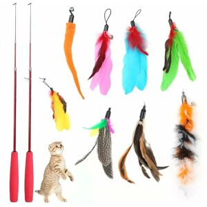 Rhafayre - Feather Toy for Cats, 10 Pieces Cat Toys, Feather Toys, Cat Toy, 2 Retractable Fishing Rod Toy with 8 Refills, Interacti for Indoor Cats