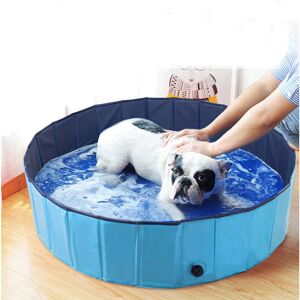 Bingo Paw - Foldable Dog Swimming Pool Pet Puppy Bath Tub Shower Indoor Outdoor, 80cm - Blue