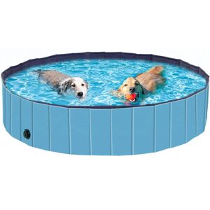 Bingo Paw - Foldable Dog Swimming Pool Pet Puppy Bath Tub Shower Indoor Outdoor, 160cm - Blue