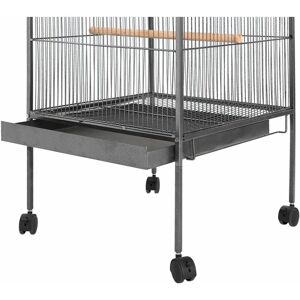 Berkfield Home - Mayfair Bird Cage Black 54x54x146 cm Steel