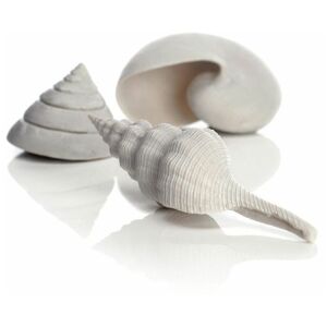 Biorb - Samuel Baker Sea Shells, White