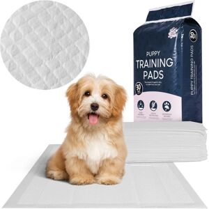 ASAB Pet Dog Training Pads Puppy Pee Bamboo Charcoal Remove Floor Loo Mats 60x60cm