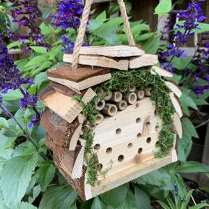 Samuel Alexander - Tom Chambers Garden Wooden Bug House Wild Insect Hanging Habitat with Natural Moss