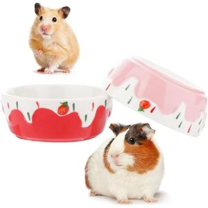 GROOFOO 2 Pcs Hamster Ceramic Bowl, Small Animals Anti-Turning Food Water Bowl for Rabbit Hamster Guinea Pig Hedgehog Squirrel (Pink and Red)