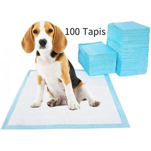 100 Pack Dog Training Pads, 33 x 45 cm Disposable Puppy Training Pads, Super Absorbent, Odor-Resistant, - Aiperq