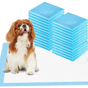 Gotrays - Ultra Absorbent Dog Potty Training Pads Pet Training Mats Puppy Cat Training Pads 33 x 45 cm, Pack of 100