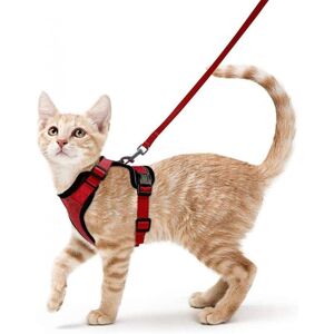 Cyslmuk - 1pc (XS-Red) Cat Harness Leash Small Dog Adjustable Kitten Harness Red Reflective Collar Breathable Vest Rabbit Cyslmuk - 1pc (XS-Red) Cat Harness Leash Small Dog Adjustable Kitten Harness Red Reflective Collar Breathable Vest Rabbit