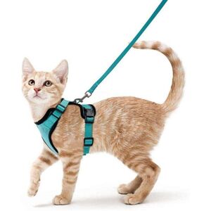 YMYNY 1pcs(XS-Green) Cat Leash for Small Dogs Adjustable Kitten Leash Green mumu YMYNY 1pcs(XS-Green) Cat Leash for Small Dogs Adjustable Kitten Leash Green mumu